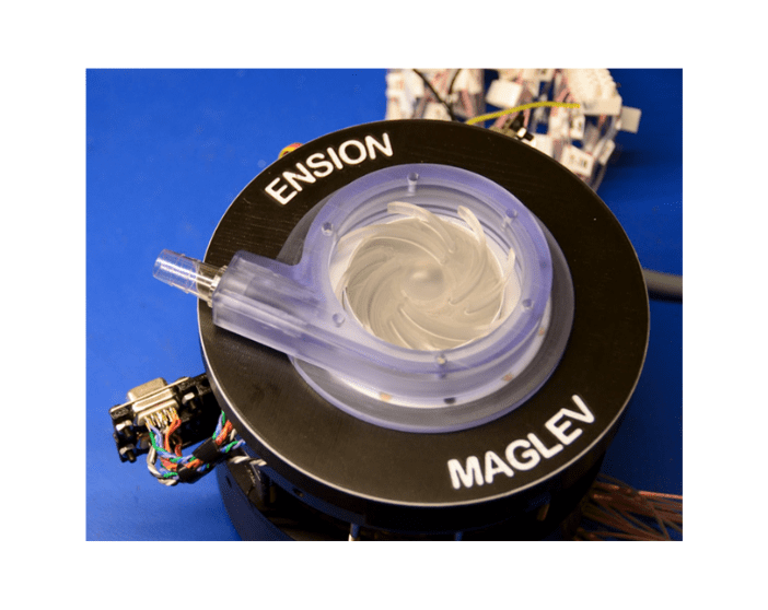 Untitled design (16)