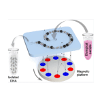 Untitled design (19)