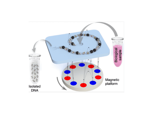 Untitled design (19)