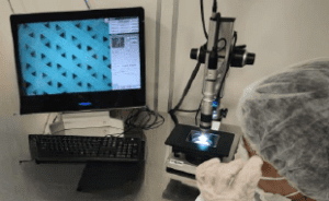 BLOOCELL DECK 2024 - 27.01 Kopie-page6-image7